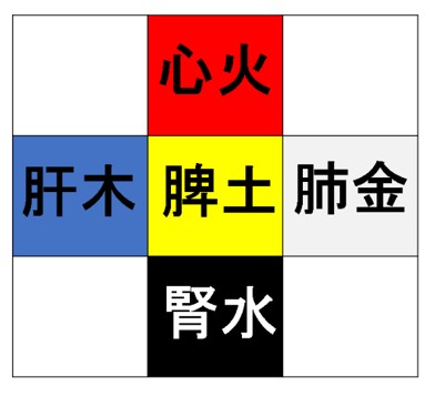 ニキビと漢方:五行から見る漢方治療 | 加納渡辺病院| 岐阜市 乳腺外来・痔核手術・内視鏡・漢方外来