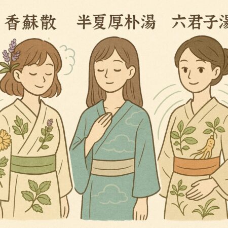 気剤の三姉妹:香蘇散・半夏厚朴湯・六君子湯|漢方医が解説する構成生薬・作用・症例・ツボ対応まで | 加納渡辺病院| 岐阜市 乳腺外来・痔核手術 ...