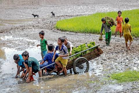 沢のほとりに草が生い茂る様子