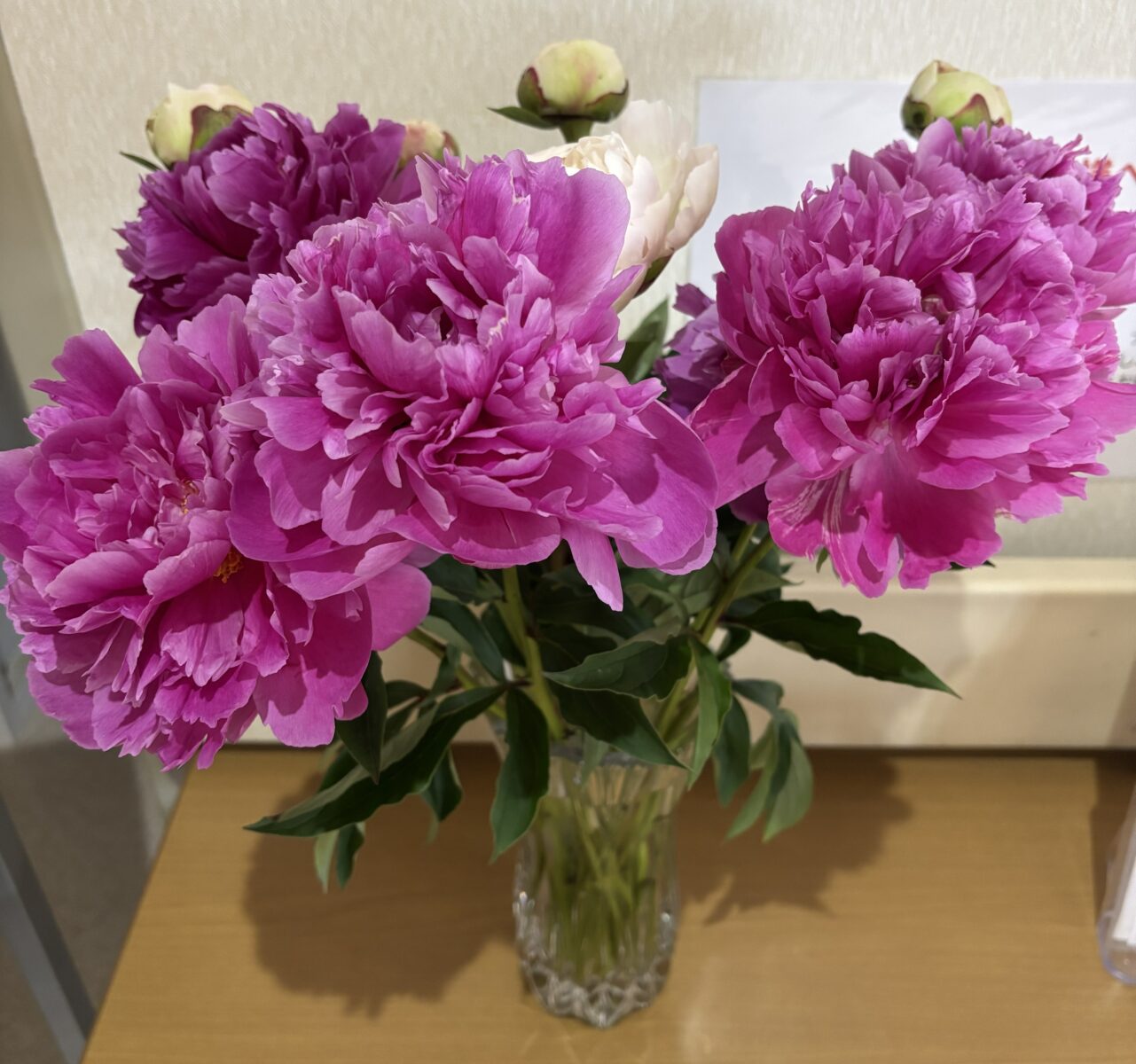 芍薬の花